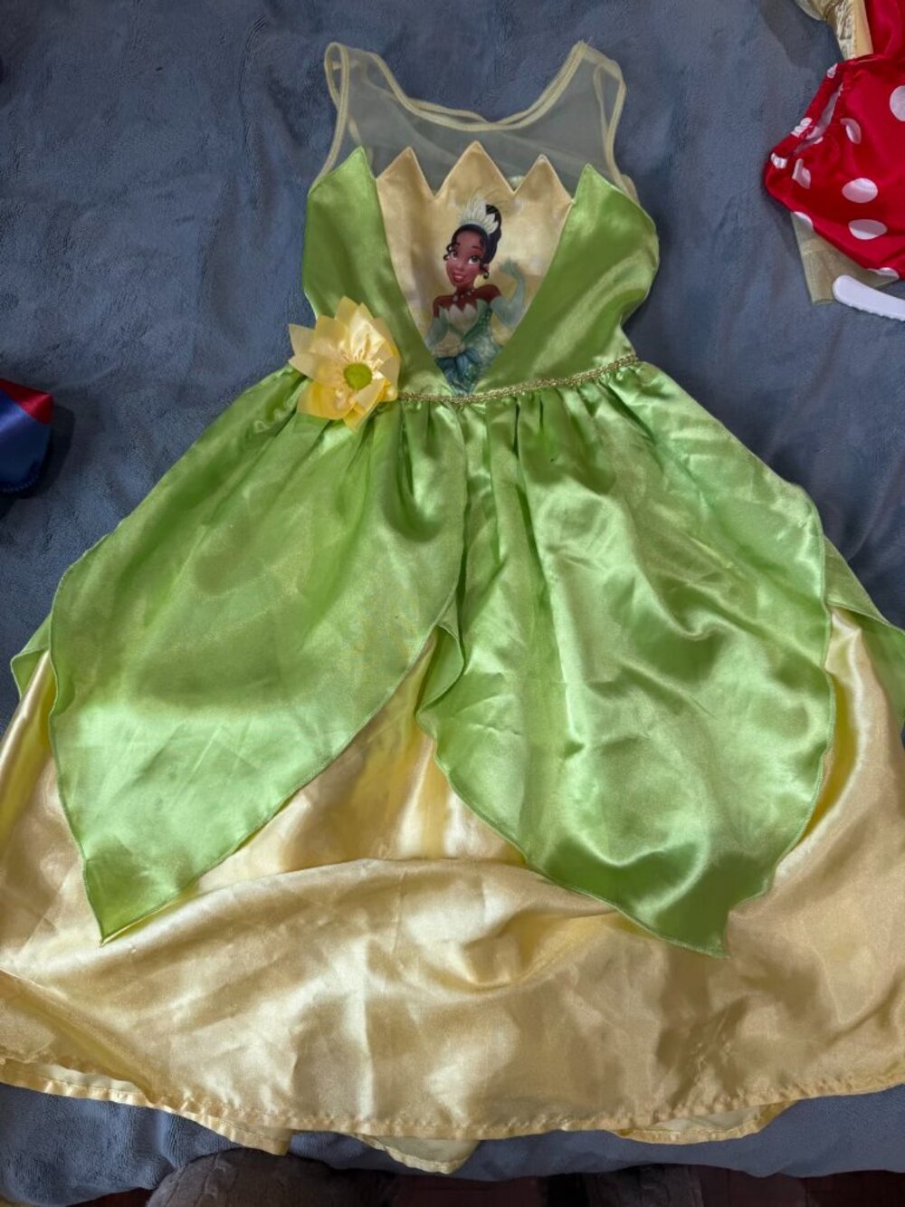 Disney Tiana Princess Costume Dress Girls 5T Green H&M Princess and the Frog Dre